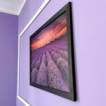 ואלבריץ' Apartament Lawendowy מראה חיצוני תמונה