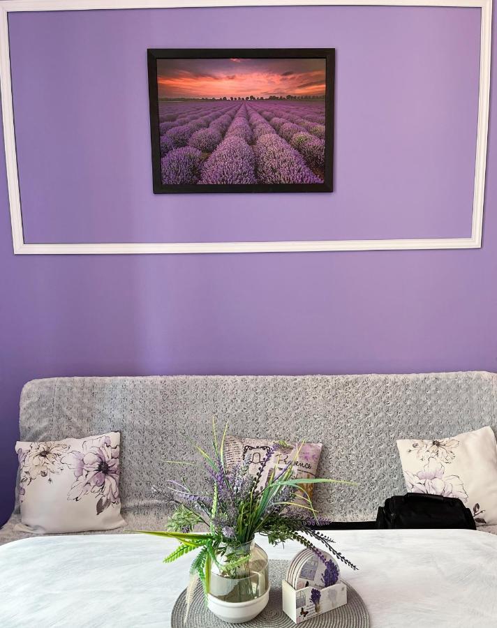 ואלבריץ' Apartament Lawendowy מראה חיצוני תמונה